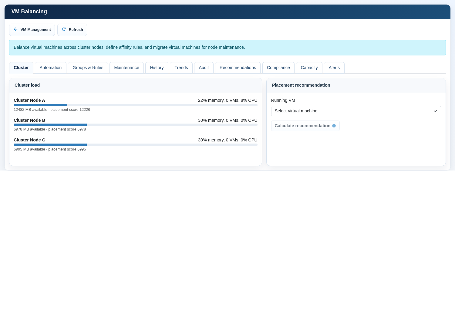 VM Balancing cluster overview with node utilization and workload distribution